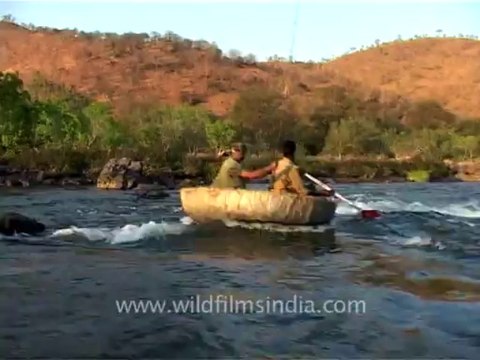 2618.Coracle ride on Kabini river in Karnataka