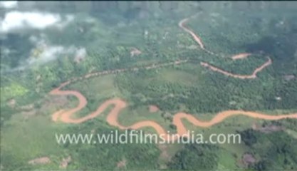 264.Footage  of rain forest and clouds