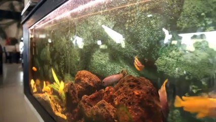 Middag på Hundested Havn