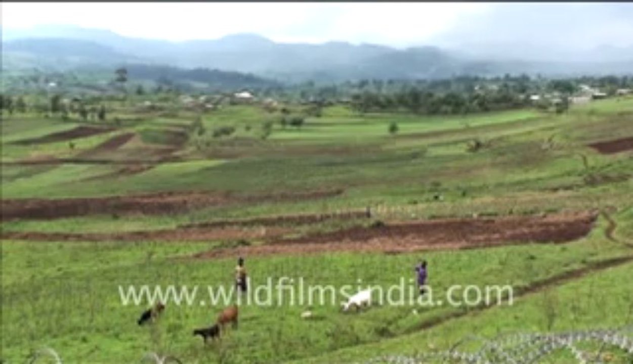 273.Congo or erstwhile Zaire