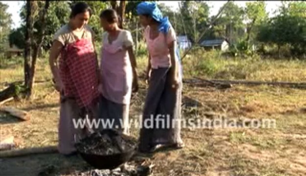 2755.Kala Apong (Rice Beer)