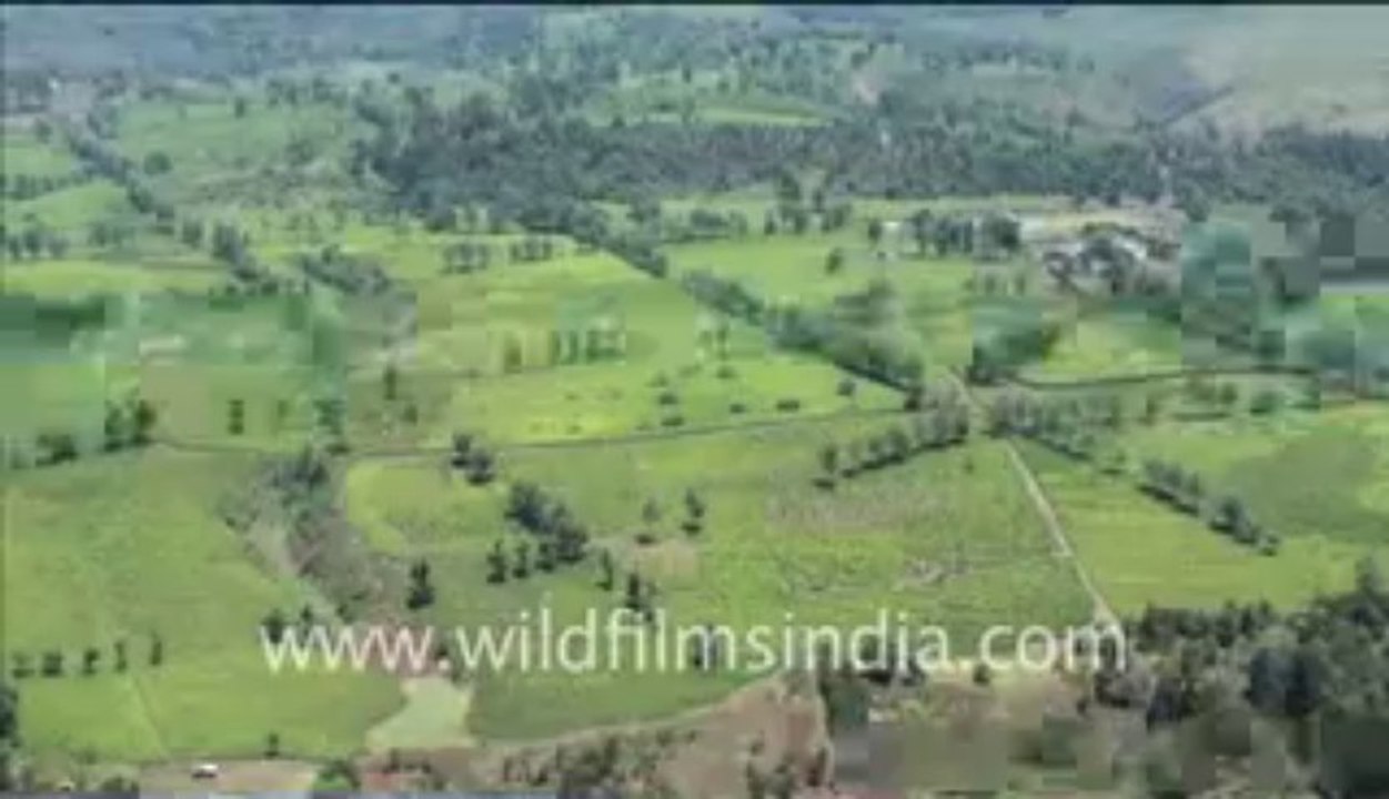 281.Aerial shots of Congo