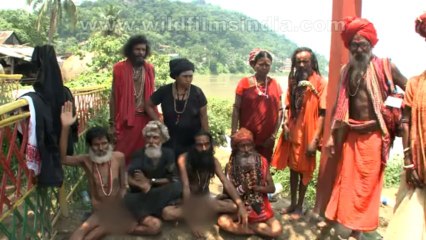 2965.Watch it to believe It!! The terrifying Aghori sadhus
