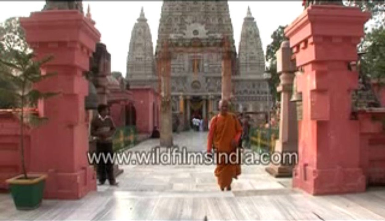 297.Statues at Bodh Gaya