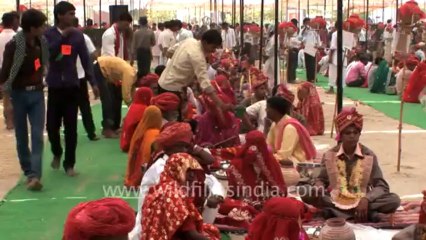 3049.Illegal practice of child marriage