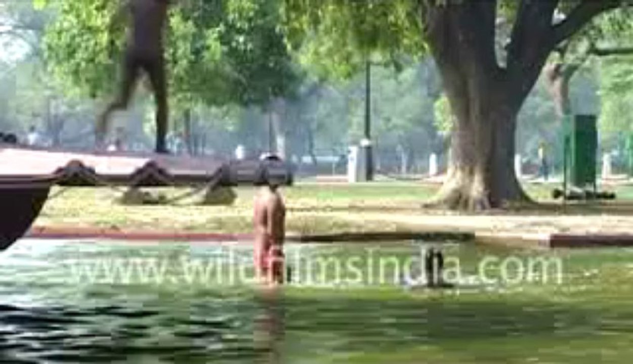 31. A Pacy Film on Delhi