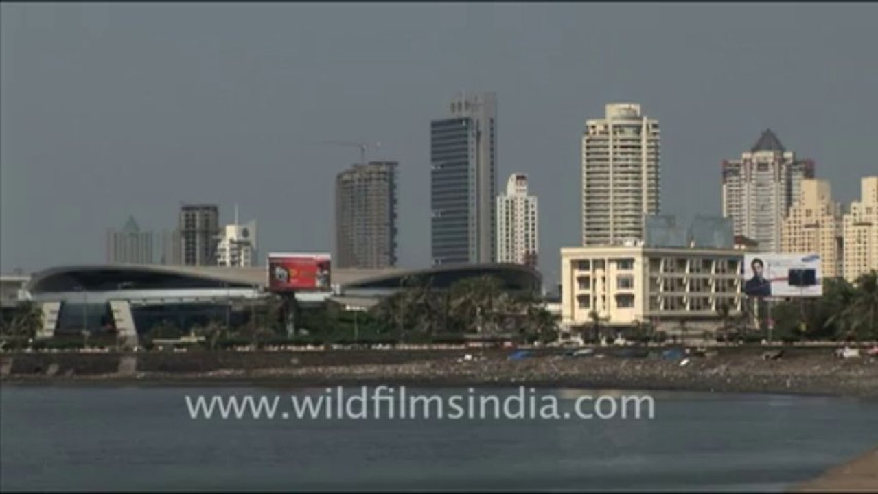 695.Crows swarm the Bandra Worli Sea Link bridge!