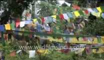 329.Prayer Flags in Thimphu