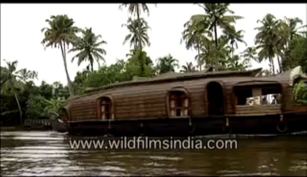 332.Houseboat on backwaters, Kerala