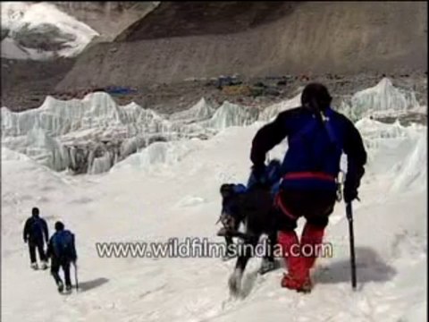 367.Khumbu Icefall glacier