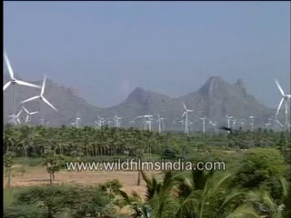 377.Windmills in Kerela