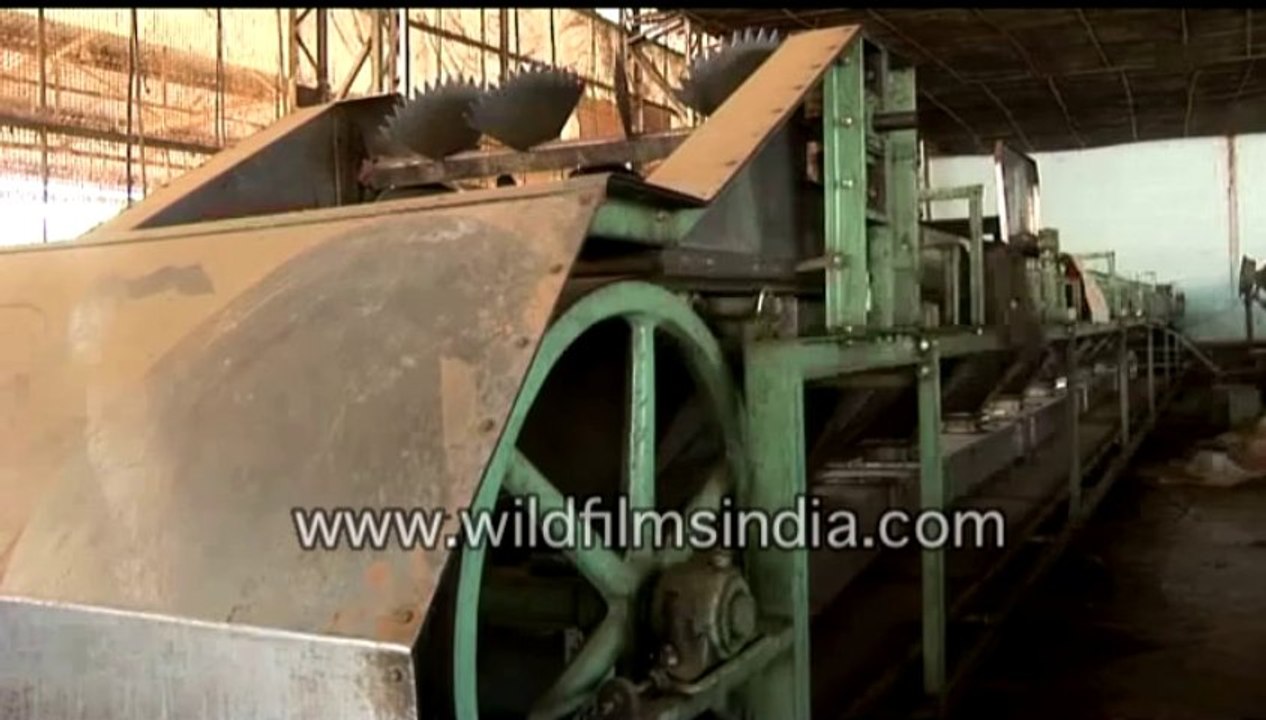 431.Tea Factory in India