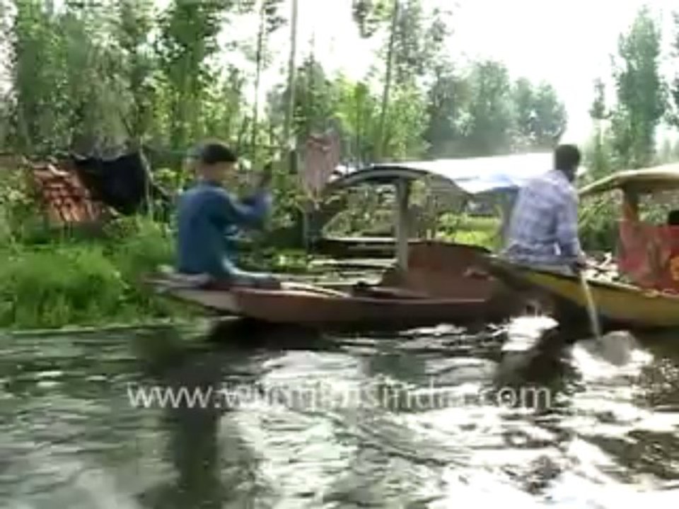 463.Srinagar Dallake