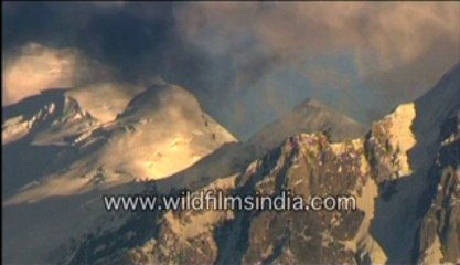 468.Srikantha from Lamkhaga valley, Jallandhri Garh!