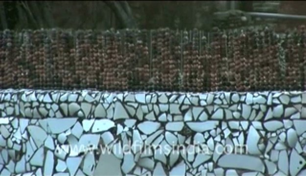 537.Rock Garden in Chandigarh