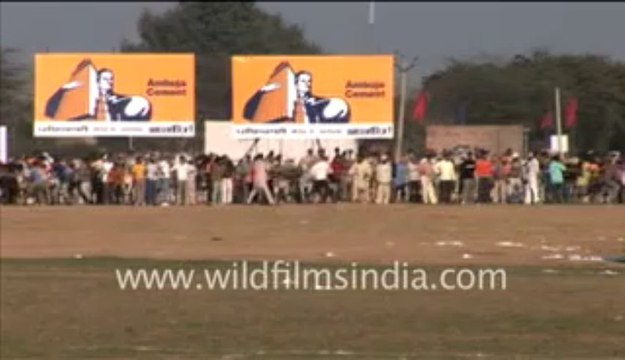 563.Bullock Cart Race of Rural Olympics