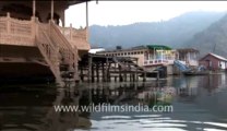 637.Dal lake in Srinagar,India