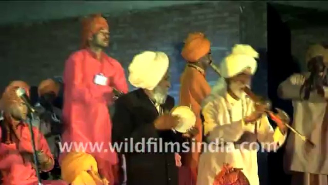 559.Snake Charmer playing popular hindi film music