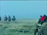 762.Tourists on elephant back looking at rhino