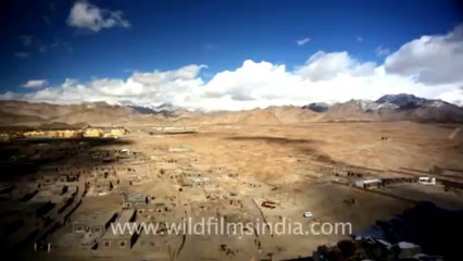 830.Ladakh Landscape