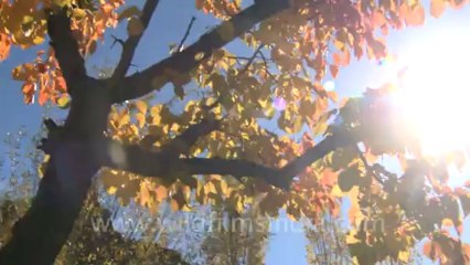 850.Ladakh Landscape