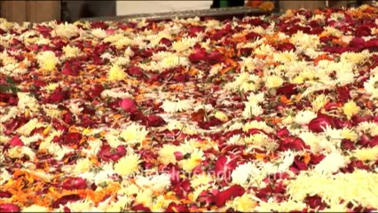 853.Phool Walon ki Sair, Delhi
