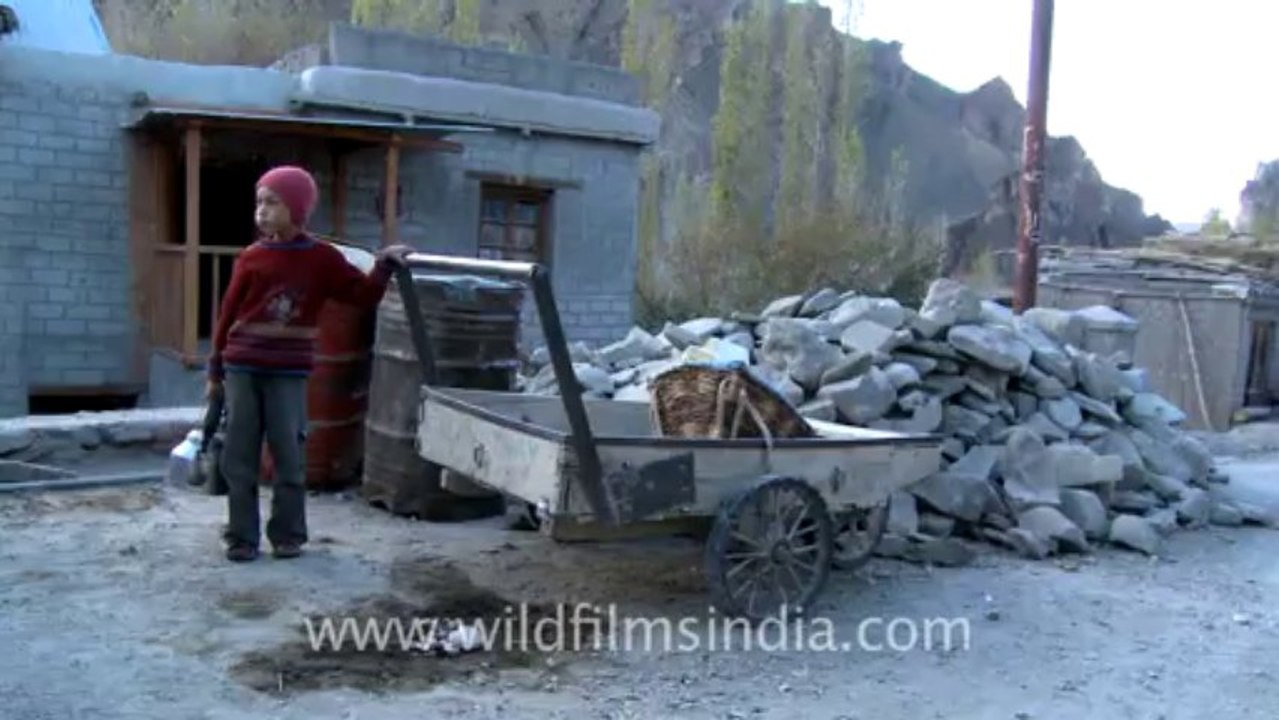 858.Ladakhis