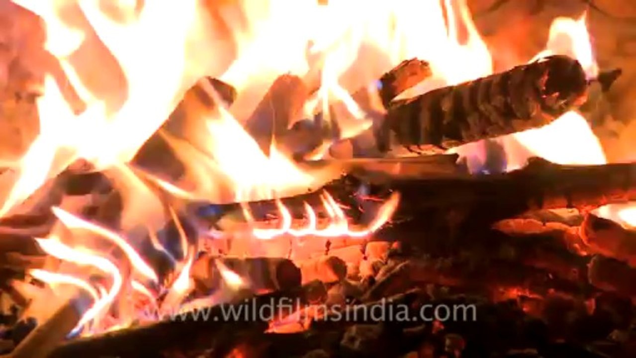 905.Camp Fire in Ladakh