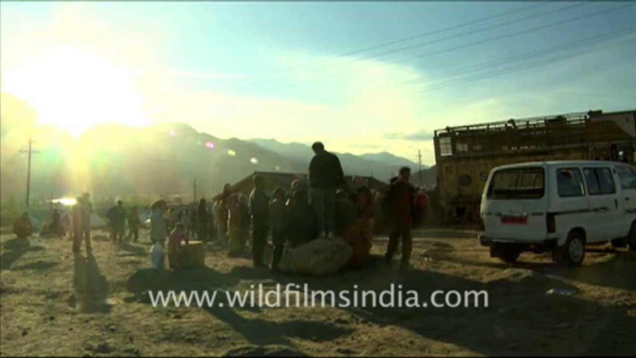 956.Relief Camps, Ladakh