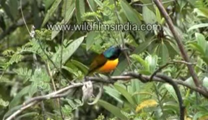 A journey to India-4-MPEG-4 800Kbps