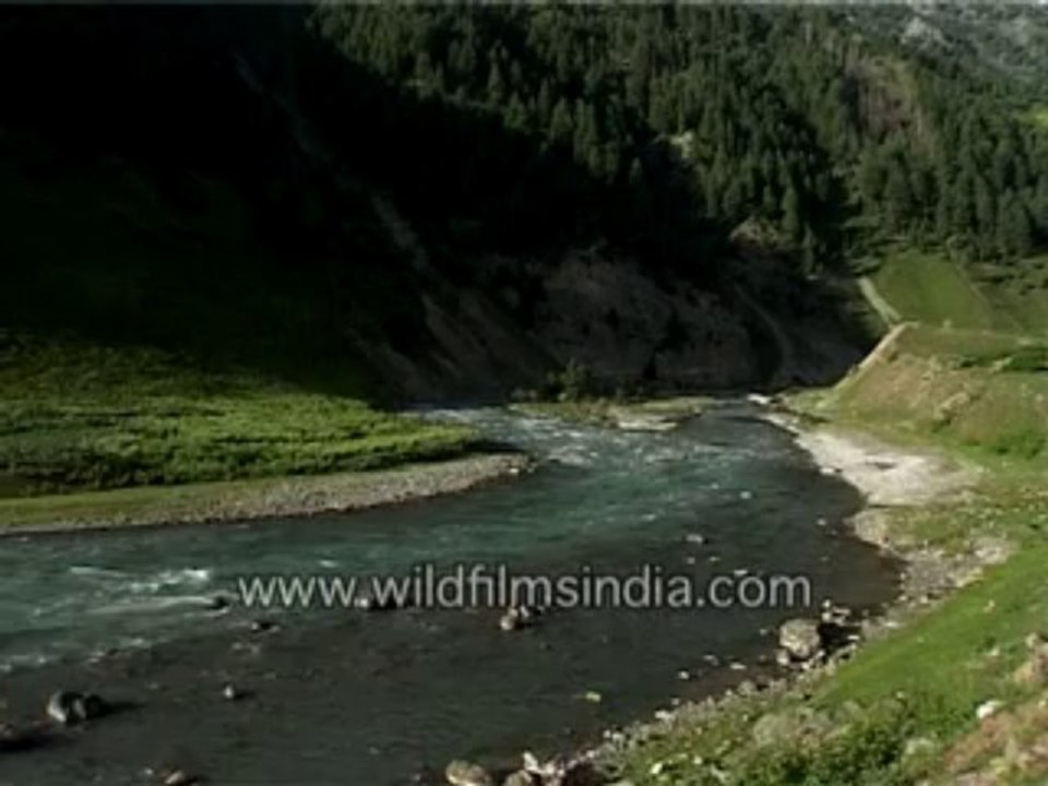 A river is flowing-MPEG-4 800Kbps