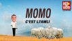 Momo - C_est L7awli (parodie de Khaled - C_est la vie)