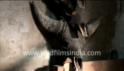 Apatani_2-MPEG-4 800Kbps