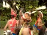arunachal dances(tribal dances)-MPEG-4 800Kbps