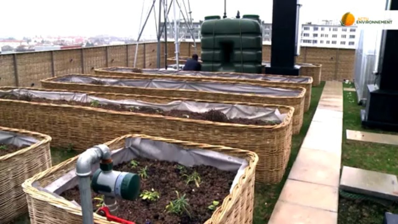 Réhabilitation de l'habitat en banlieue : ne pas reproduire les erreurs des années 70