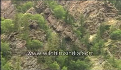 Beautiful hills-MPEG-4 800Kbps