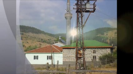 2013 YAYLA ŞENLİĞİ