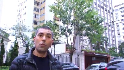 Cinco árvores para atrair passarinhos