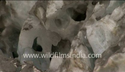 Gangotri Glacier_7-4 800Kbps