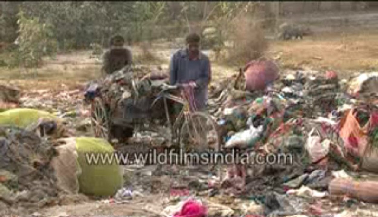 Garbage hill-MPEG-4 800Kbps