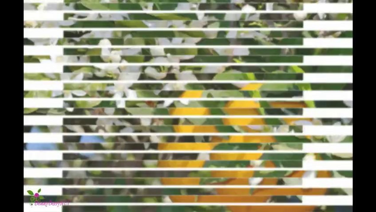 DOLCE & GABBANA Pour Femme Άρωμα EDP Σπρέυ