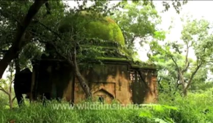 Mughal tomb