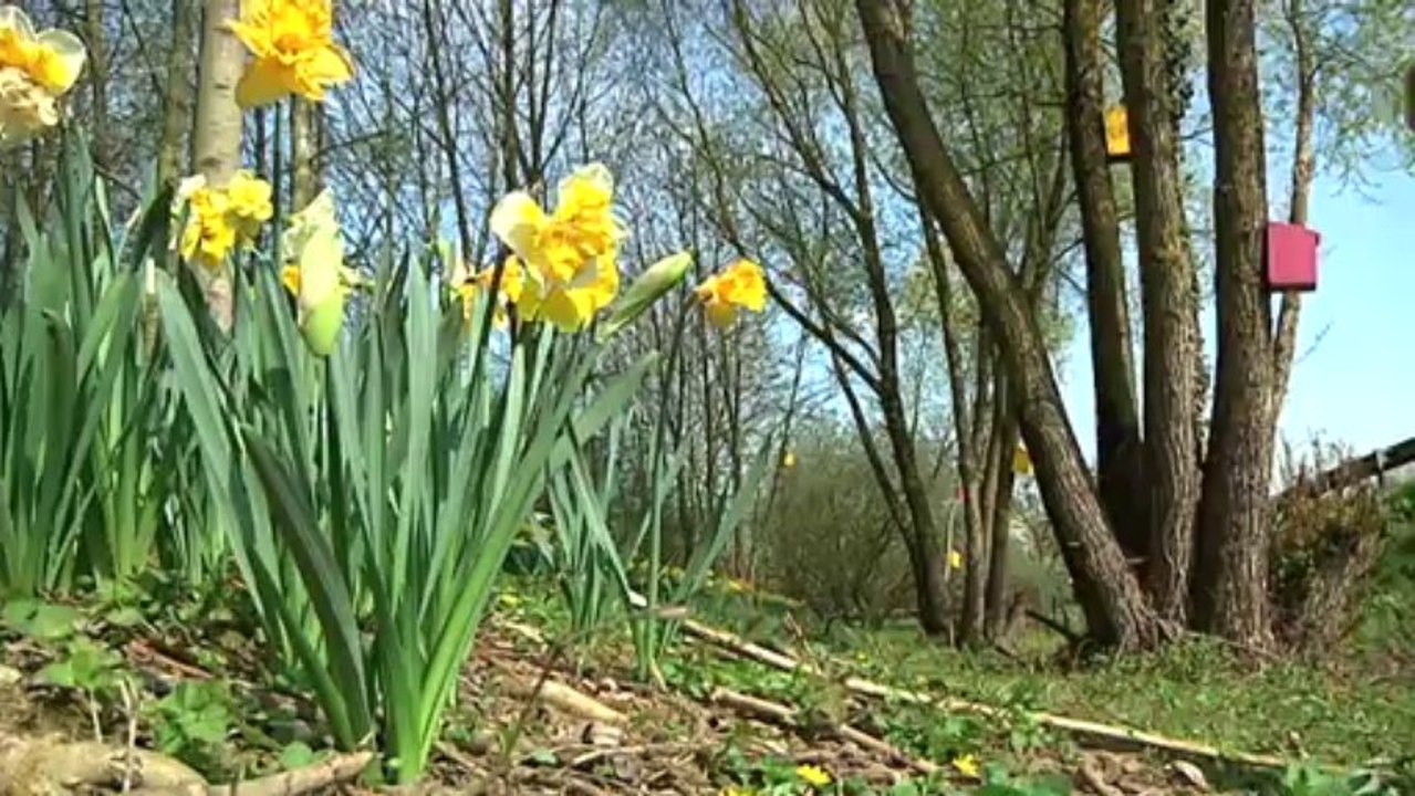 Vous avez dit Durable ? - Le Développement Durable mené à Rombas - S02E07