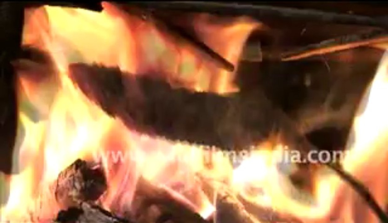 rat hunting-MPEG-4 800Kbps