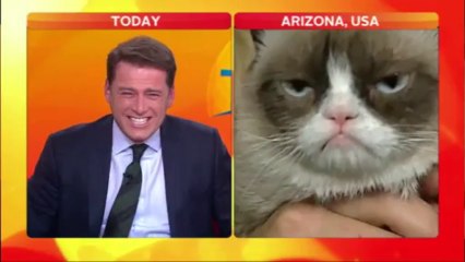 Grumpy Cat On Australian Today Show VS Karl Stefanovic!! So funny live ITW!!