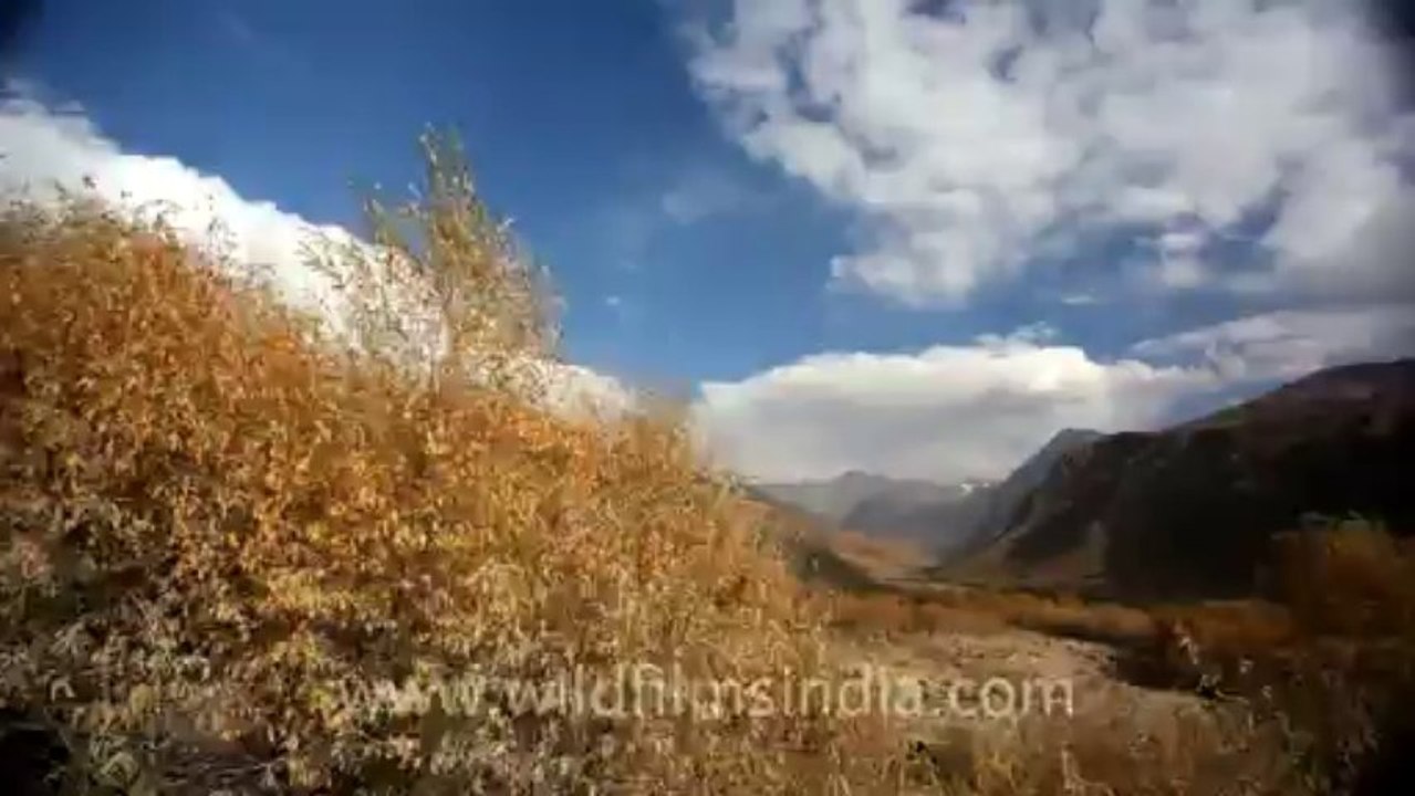 Scenery of Ladakh