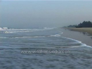 Seashore-MPEG-4 800Kbps