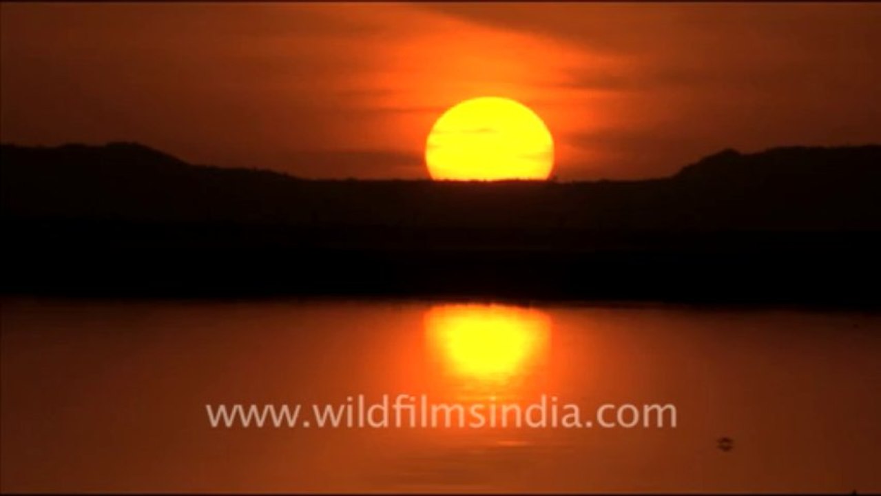 sunset