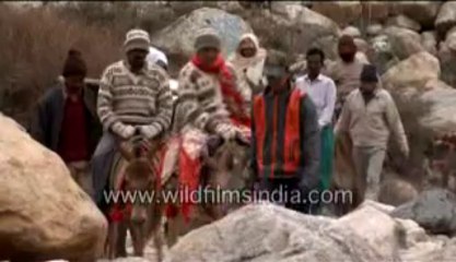 Super lazy trekking-MPEG-4 800Kbps