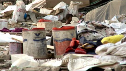 We are under the same sky